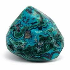 chrysocolle